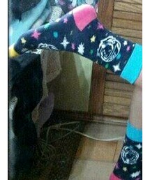 Happy Socks | ソックス/靴下