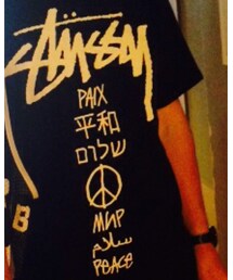 STUSSY | Tシャツ/カットソー