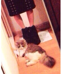 YRU | スニーカー