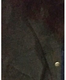 carnelian | ダウンジャケット/コート