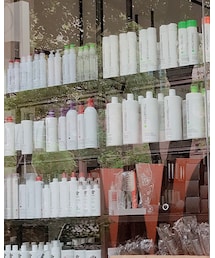 adidas Originals | Tシャツ/カットソー