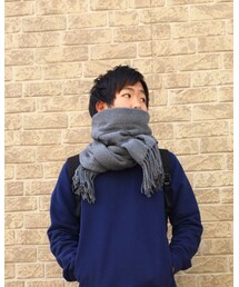 nature et evoluer | マフラー