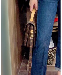 LOUIS VUITTON | メッセンジャーバッグ