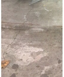 Timberland | ブーツ