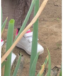 adidas | スニーカー