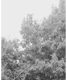 UNDERCOVER | ナイロンジャケット