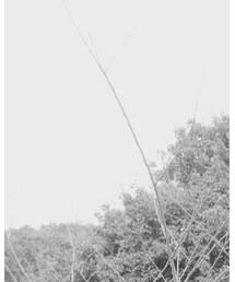 VINTAGE | パーカー