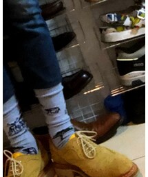 Paul Smith | ソックス/靴下