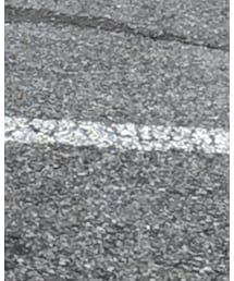 Y-3 | スニーカー