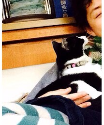 実家のねこ | その他