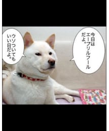 4月1日 | その他