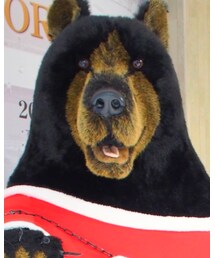 クマちん？？ | その他