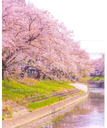 今日の１枚📸 | その他