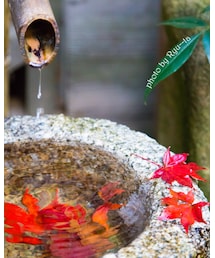 紅葉🍁📸 | その他