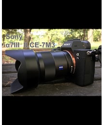 SONY α7Ⅲ | その他