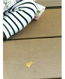 next | その他パンツ