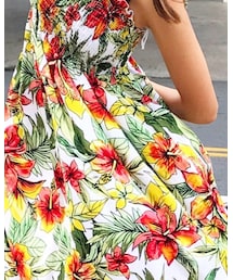 two palms | ワンピース