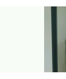 Levi's | シャツ/ブラウス