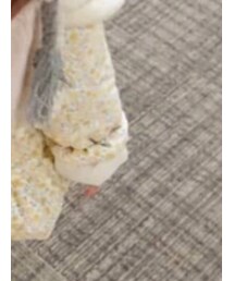 Handmade | スタイ/よだれかけ