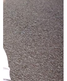 babyGAP | スウェット