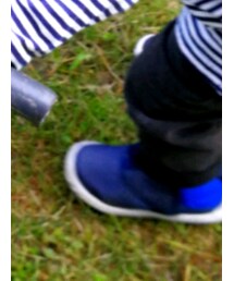 adidas | スニーカー