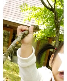 GAP | カーディガン/ボレロ