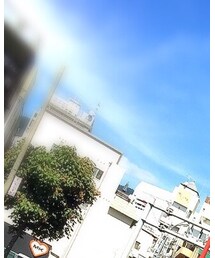 Champion | Tシャツ/カットソー