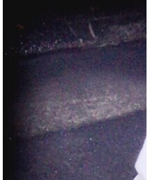 Champion | スウェット