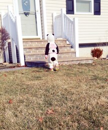 harajukumini for target | パーカー