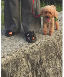 Dr. Martens | サンダル