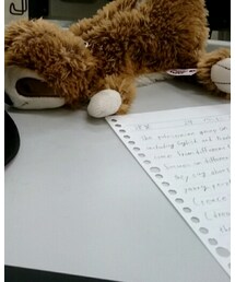 なまけもの | その他