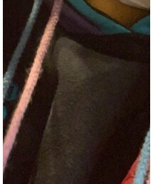 STARTER BLACK LABEL | パーカー