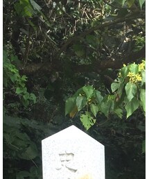 斎場御嶽 | その他