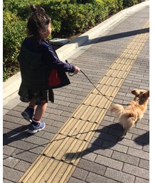 お散歩お散歩 | その他