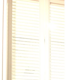 Jack Wills | スウェット