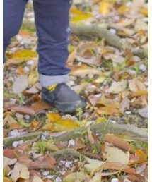 VANS | スニーカー