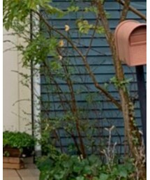 KBF | ニット/セーター