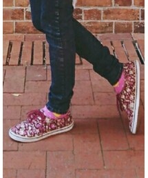 VANS | スニーカー