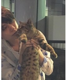 のらねこ | その他