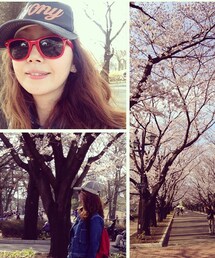 IRONY | 🌸花見日和🌸(サングラス)