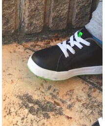 DC SHOES | スニーカー