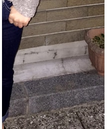 GU | デニムパンツ