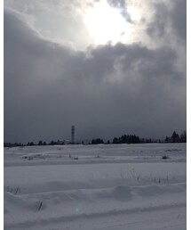 雪景色 | その他
