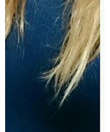 SHOO・LA・RUE | ニット/セーター