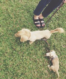 supermarket | その他シューズ