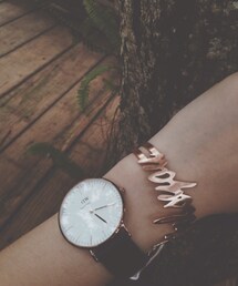 danielwellington | アナログ腕時計