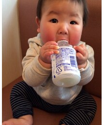 カルピス | その他