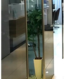 ZARA | スニーカー