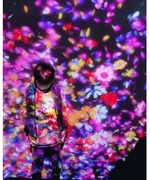 チームラボ | その他