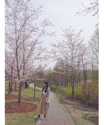 MAJESTIC LEGON | スウェット